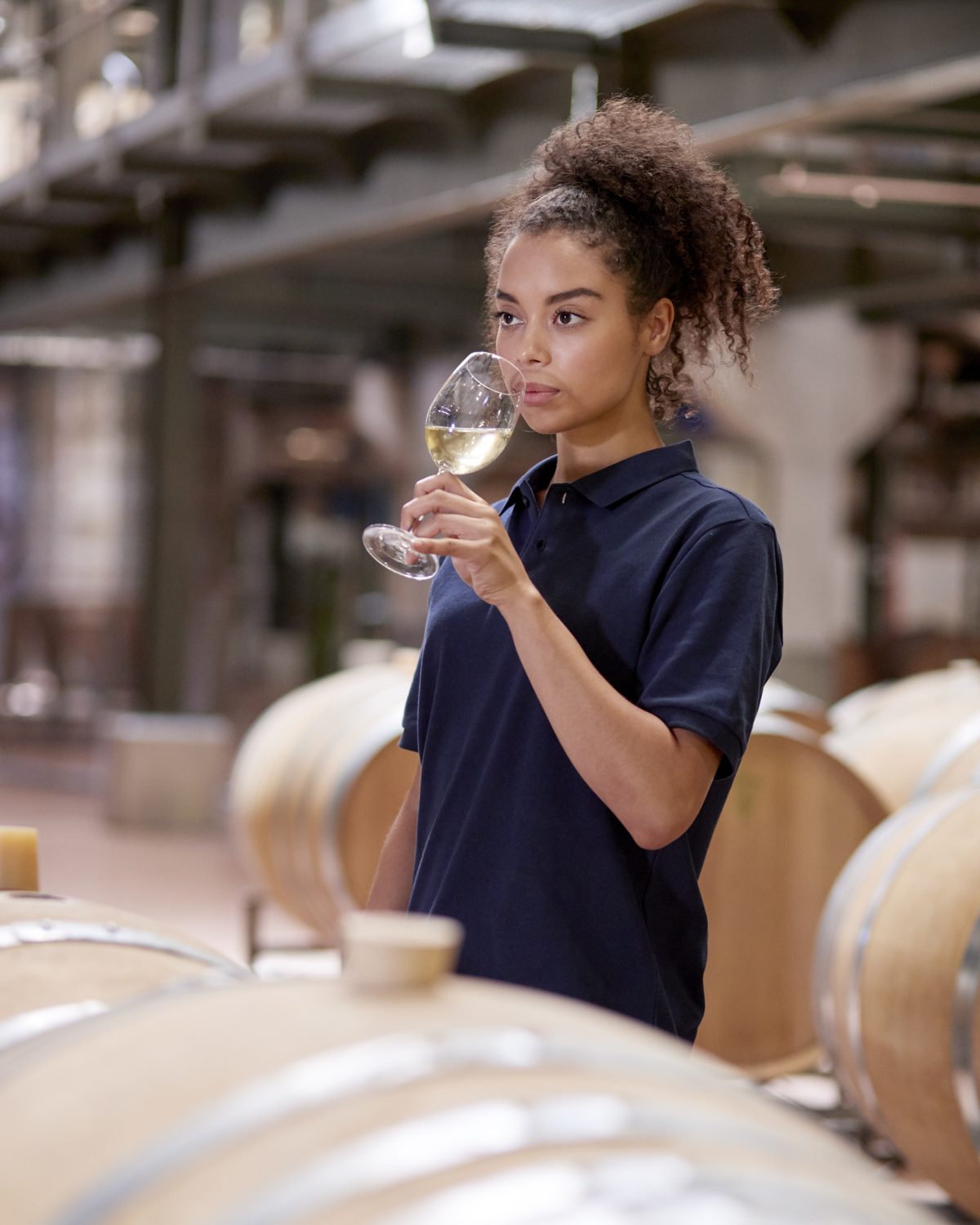 Due professionisti brindano con calici di vino bianco in cantina