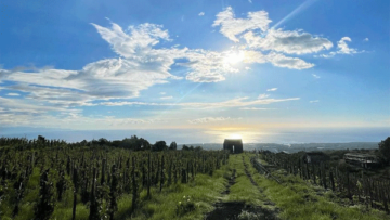 benanti-cantina-etna-3