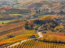 Cantine Piemonte | Cantine Eccellenti - Selection