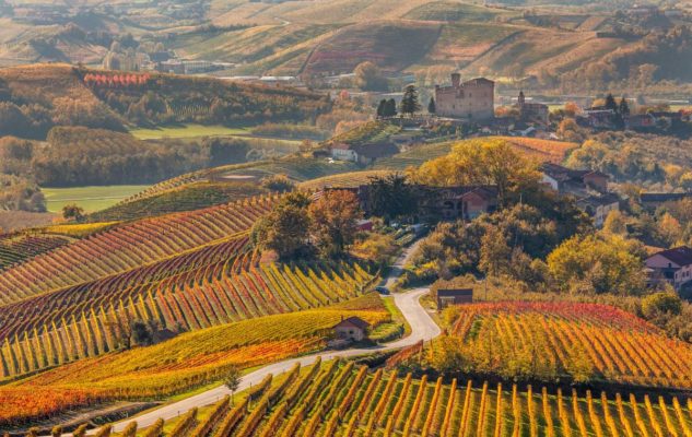 Cantine Piemonte | Cantine Eccellenti - Selection Cantine Piemonte | Cantine Eccellenti - Selection