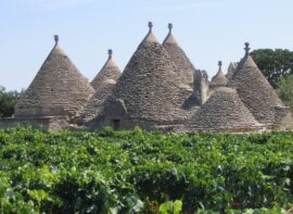 Cantine Puglia | Cantine Eccellenti - Selection