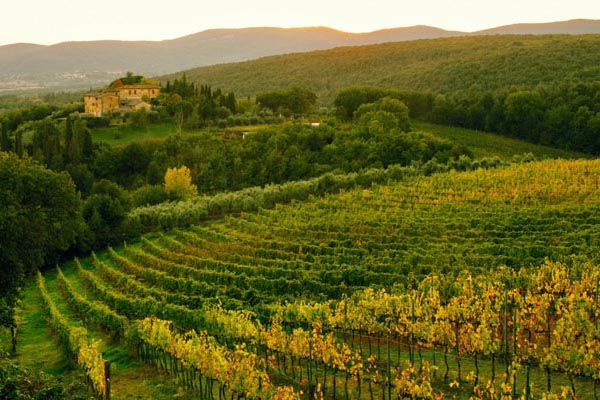 cantine-toscana-env