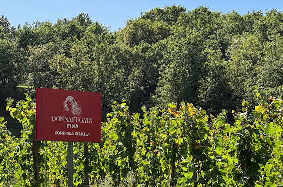 Cantine Donnafugata | Cantine Eccellenti - Selection