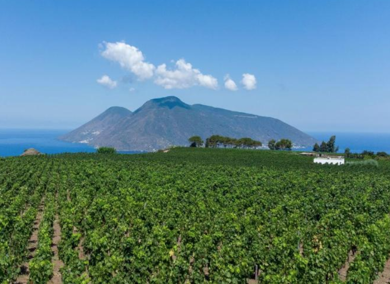 wine-resort-isole