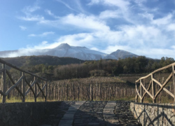 iVigneri - Cantina Etna | Cantine Eccellenti
