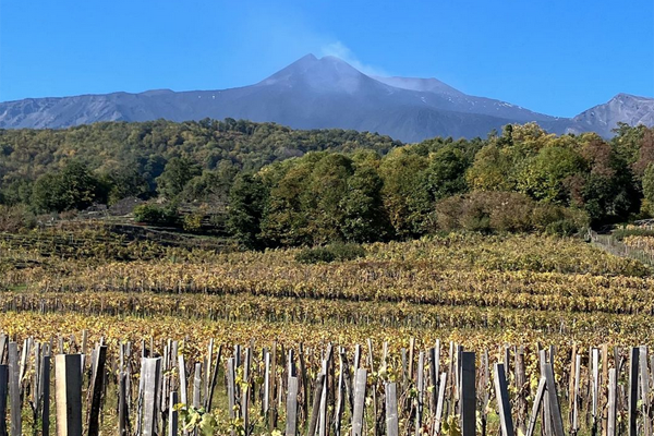 iVigneri - Cantina Etna | Cantine Eccellenti