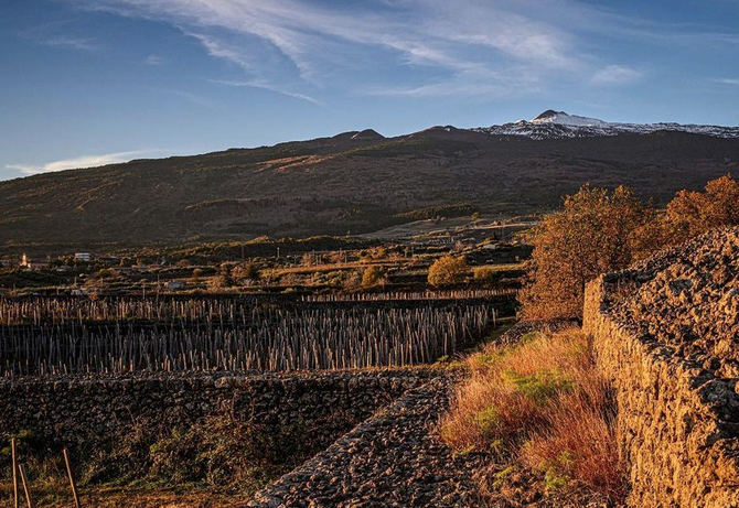 Cantina Cottanera - Etna | Cantine Eccellenti