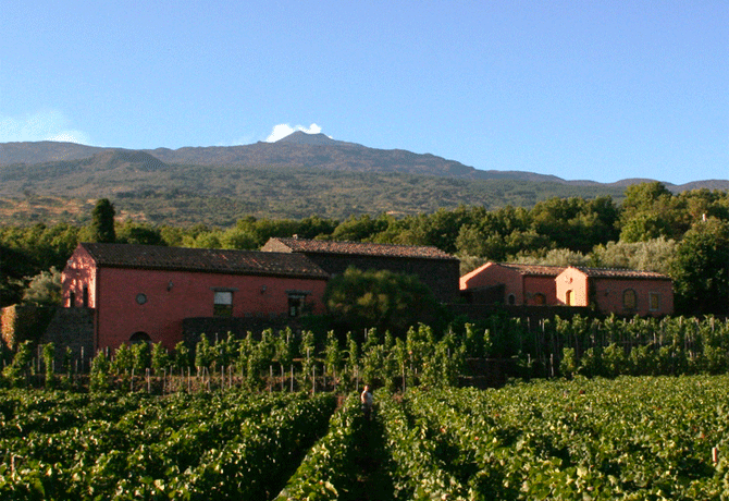 Cantina Terrazze dell'Etna | Cantine Eccellenti - Selection Cantina Terrazze dell'Etna | Cantine Eccellenti - Selection