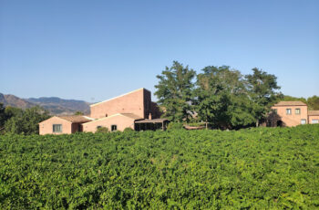 Cavanera Etnea Resort | Cantine Eccellenti - Selection